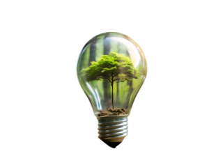 The bulb is located on the inside with leaves forest and the trees are in the light isolated on white background ,PNG. AI Generated