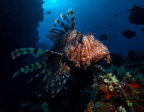 Lionfish in coral reef underwater scene - Powered by Adobe