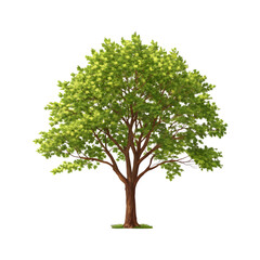 A lush green tree, symbolizing nature, growth, and life.