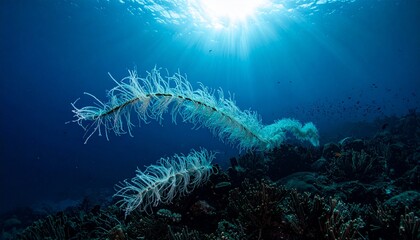 Siphonophore Colony Glowing in Chain Formation in Abyss