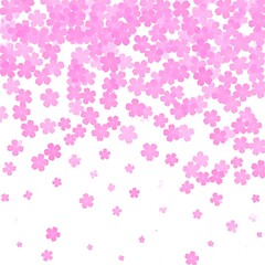 Pink flower confetti on white