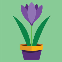 Decorative pot with blooming crocus flower indoors