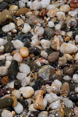 pebbles on the beach