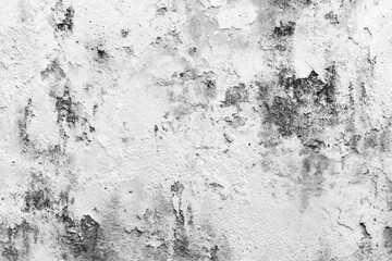 Weathered, textured, light gray and white wall.  Patches of dark gray discoloration