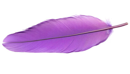 A purple feather delicately resting on a white surface. its intricate details and soft textures. perfect for artistic projects or nature-themed designs