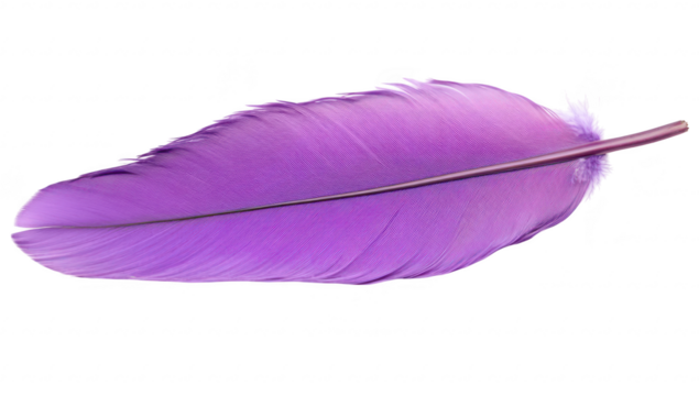 A purple feather delicately resting on a white surface. its intricate details and soft textures. perfect for artistic projects or nature-themed designs