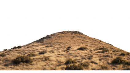 A serene landscape a gently sloping hill covered in dry grass and sparse vegetation. under a clear sky. ideal for nature-themed projects or backgrounds