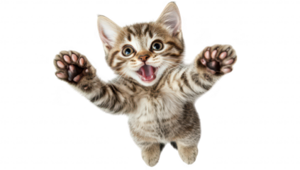 A playful tabby kitten with wide eyes and outstretched paws. joyfully engaging with its surroundings on a bright white background. perfect for pet-related content and advertising