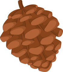 illustration acorn