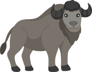 illustration bull