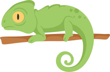 illustration lizard