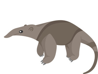 illustration anteater