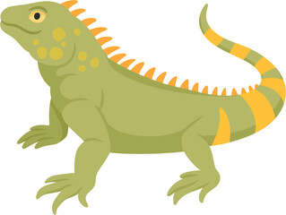 illustration iguana