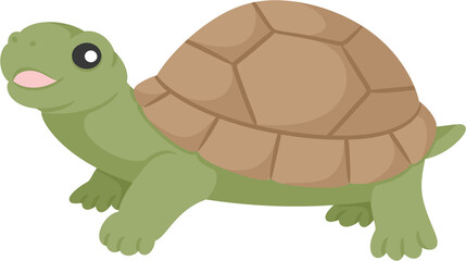 illustration turtle