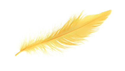 Fototapeta premium A yellow feather with delicate. wispy strands gently resting against a pristine white background. evoking a sense of lightness and tranquility. suitable for artistic or nature-themed projects