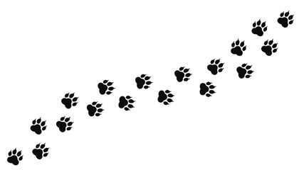Dogs trail, wolf tracks footprints, path isolated, paw print, animal tracks © dlyastokiv