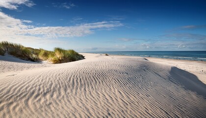 Fototapeta premium Elegant Seaside Landscape Serene Dunes And Fine Sand In Timeless Vogue Inspired Aesthetic