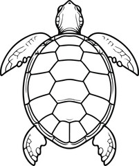 Minimal line art of turtle shell pattern, top view.