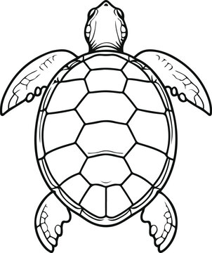 Minimal line art of turtle shell pattern, top view.