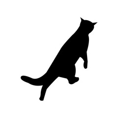 A striking silhouette of a cat in mid-leap or poised for action.