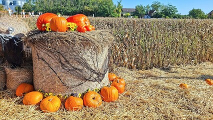 Autumn Harvest Festival Vibrant Pumpkins Hay Bales Scarecrow Sunflowers Rural Landscape Cornfield