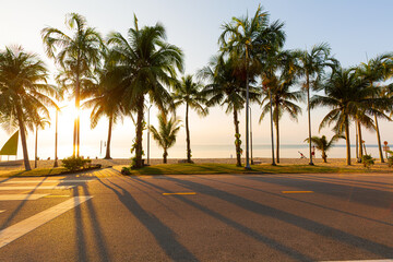 Beach road and coconut trees landscape in the morning of tropical sea in Thailand,Pedestrian walkway for exercise and coconut palm trees in the park with vintage filter,Tropical landscape.