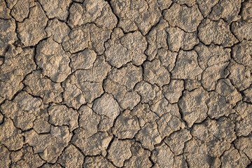 A dry, cracked soil backdrop,Texture of the dried earth with clay and sand, close-up.