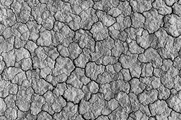 A dry, cracked soil backdrop,Texture of the dried earth with clay and sand, close-up.