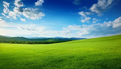 Fototapeta premium Green Meadow Landscape Under A Blue Summer Sky With Distant Hills And Clouds