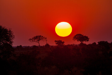 South Africa, Kruger National Park, Sunset in the Park