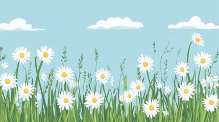 Daisy meadow field illustration