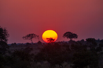 South Africa, Kruger National Park, Sunset in the Park