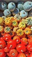 Colorful Pumpkins Harvest Seasonal Vibrant Fresh Organic Autumn Gourds Variety