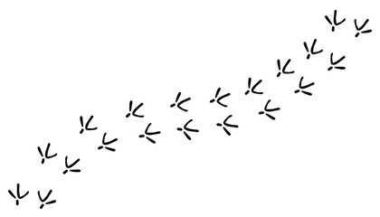 Сhicken trail, bird tracks footprints, path isolated, paw print, animal tracks