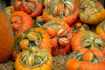 Bright decorative pumpkins are not of an ordinary shape.