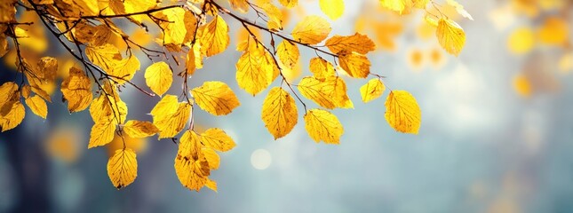 Golden autumn leaves creating beautiful nature background