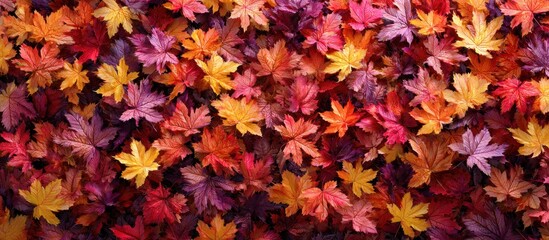Autumn leaves falling creating a colorful natural background