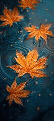 Autumn maple leaves floating on blue water surface