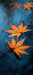 Autumn maple leaves floating on rippling water surface