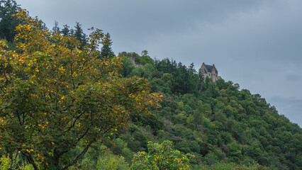forest in the mountains with castle
