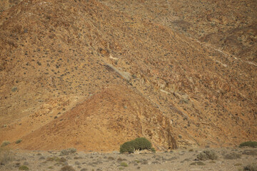Textures of the arid Richtersveld mountain rocky cliffs