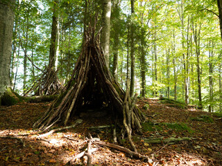Primitive rudimentary shelter made of branches in the wild forest