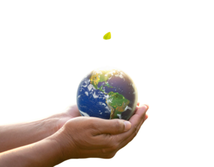  Planet in Gentle Embrace – Eco-Friendly Future with Sprouting Plant and International Unity PNG