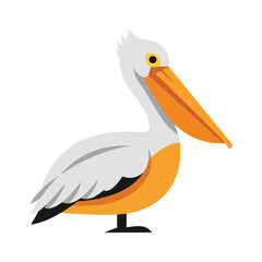 illustration of a pelican
