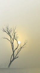 Obraz premium A solitary, leafless tree stands silhouetted against a hazy, pale sunrise, evoking a sense of tranquility and quiet solitude.