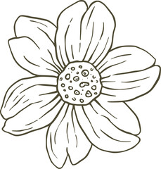 Outline drawing of a single flower with seven petals isolated on a transparent background