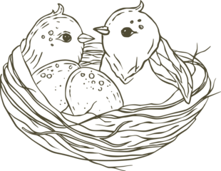 easter eggs and chicken