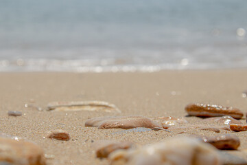 Close-up of sandy beach with rocks and blurred ocean waves in the background
