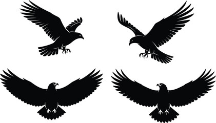 Bird silhouette, eagle landing, hawk flight, raptor talons, predator motion, wings spread, wildlife icon, nature, vector, isolated