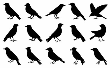 set of birds